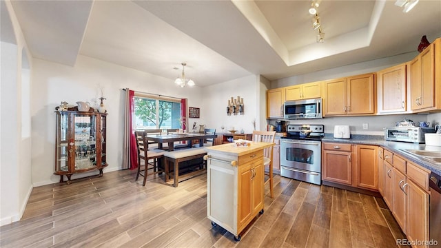 10449 Paris St Unit 207, Commerce City, CO 80640 - kitchen featuring stainless steel appliances, a raised ceiling, wood finished floors, and a chandelier