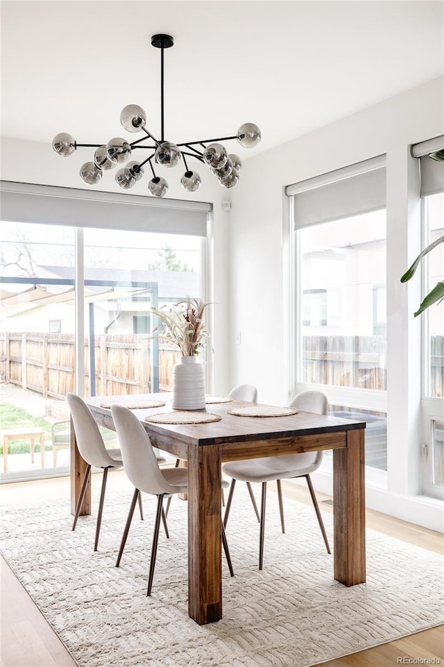 dining room with light hardwood / wood-style flooring, plenty of natural light, and an inviting chandelier