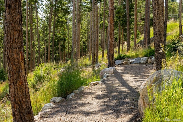 34650 Sleeping Fox Trl, Evergreen, CO 80439 - photo 4