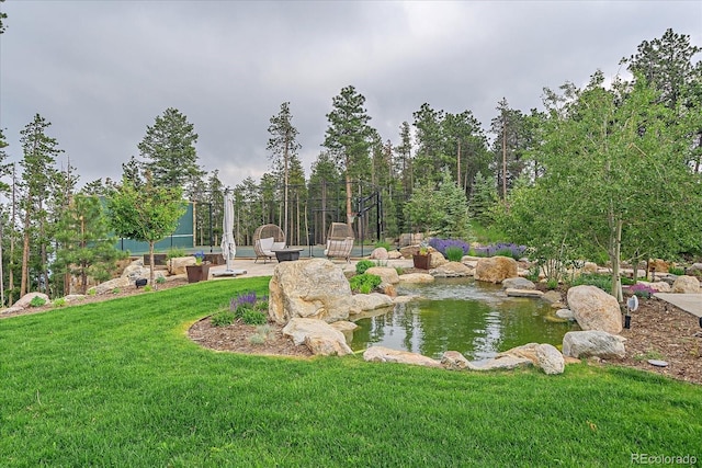34650 Sleeping Fox Trl, Evergreen, CO 80439 - photo 10