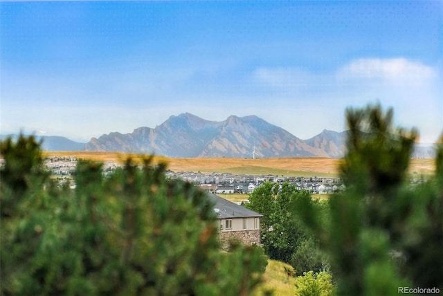 13425 W 86th Dr, Arvada, CO 80005 - photo 47