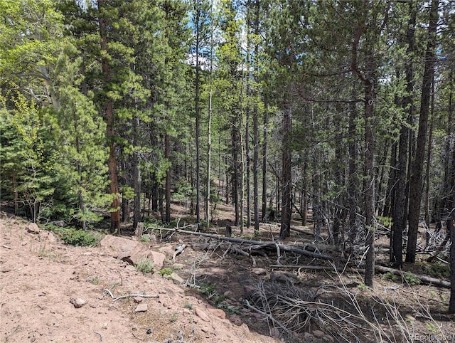 3159 Purnell Ln, Fort Garland, CO 81133