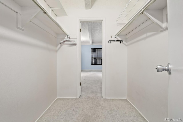 spacious closet featuring light colored carpet