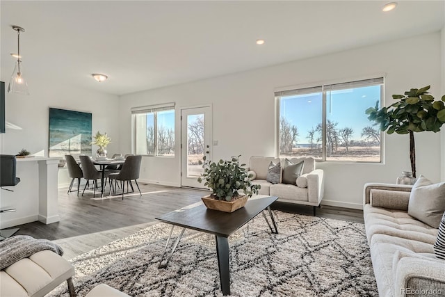 living room featuring hardwood / wood-style flooring