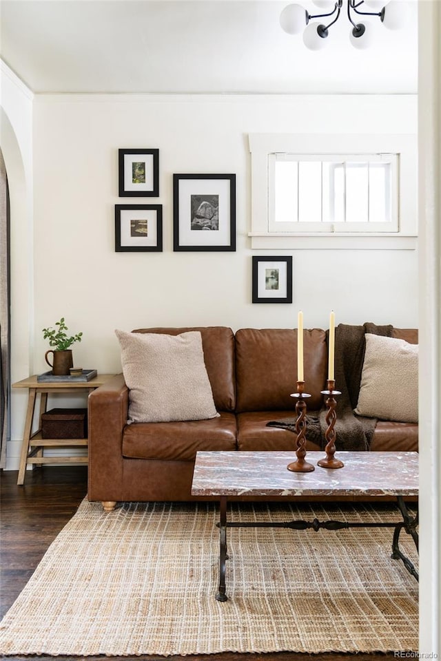 living room with dark wood-type flooring