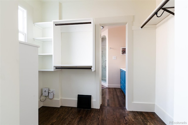 walk in closet featuring dark hardwood / wood-style floors