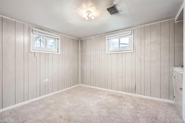 spare room featuring wooden walls, carpet, and a healthy amount of sunlight