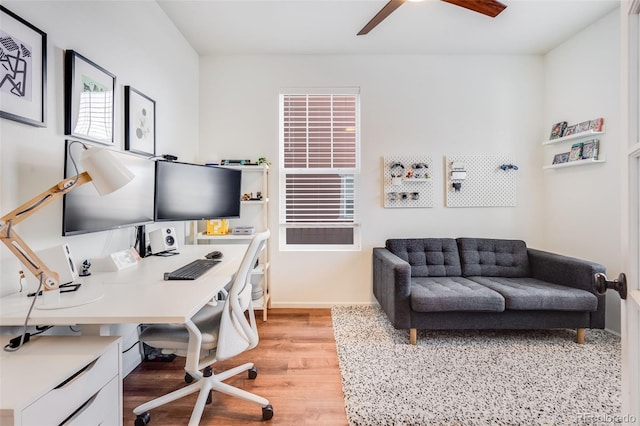 home office featuring ceiling fan and light wood-type flooring