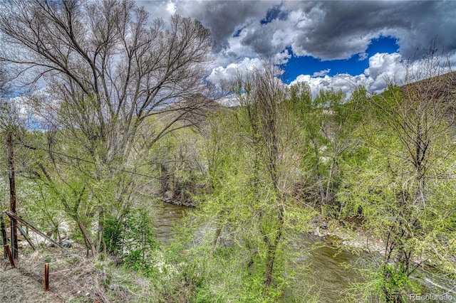 view of landscape featuring a wooded view