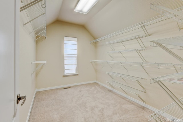 1864 Malibu Ct, Fort Lupton, CO 80621 - walk in closet with vaulted ceiling and carpet floors