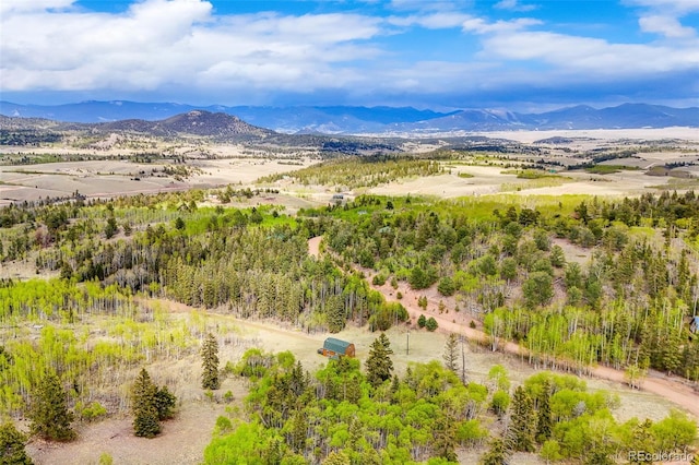 584 Old Squaw Rd, Como, CO 80432 - view of mountain background