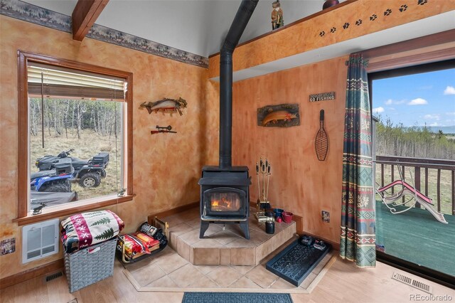 584 Old Squaw Rd, Como, CO 80432 - detailed view of a wood stove and wood finished floors
