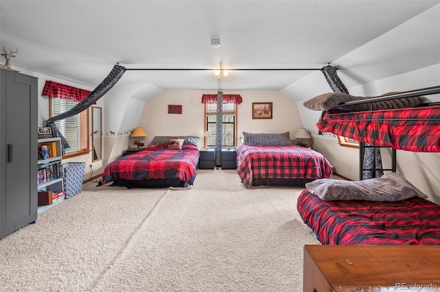 584 Old Squaw Rd, Como, CO 80432 - carpeted bedroom with vaulted ceiling