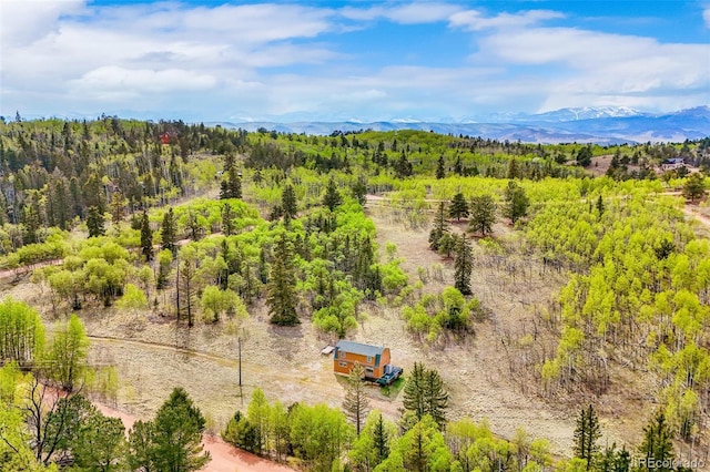 584 Old Squaw Rd, Como, CO 80432 - drone / aerial view of a forest and a mountainous background