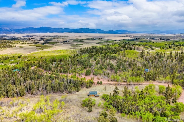 584 Old Squaw Rd, Como, CO 80432 - view of mountain backdrop