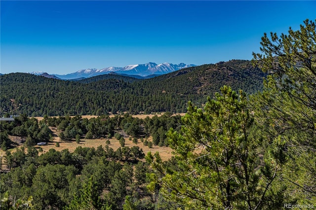 Listing photo 2 for 675 Black Gulch Rd, Cotopaxi CO 81223