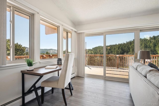 8045 S Wagon Wheel Rd, Morrison, CO 80465 - sunroom / solarium with a textured ceiling, wood finished floors, and a baseboard radiator
