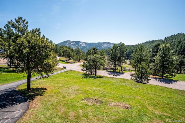8045 S Wagon Wheel Rd, Morrison, CO 80465 - view of community featuring a mountain view, a yard, and a forest view