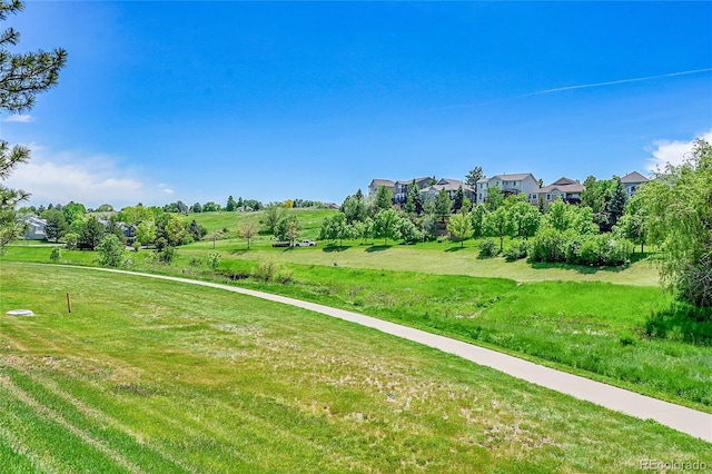 6765 S Independence St, Littleton, CO 80128 - view of green lawn