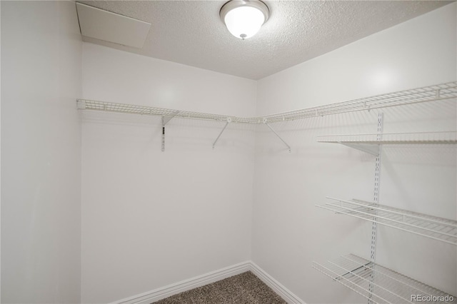 9731 W Polk Dr, Littleton, CO 80123 - photo 25
