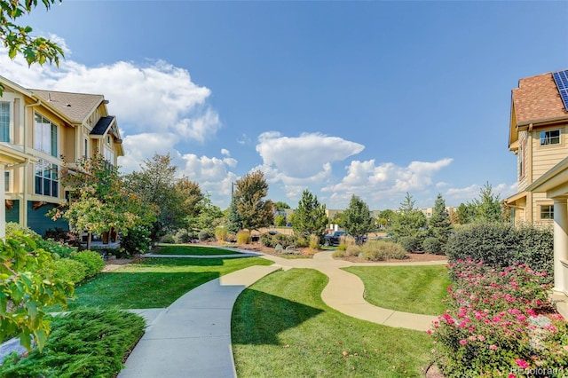 view of community featuring a yard