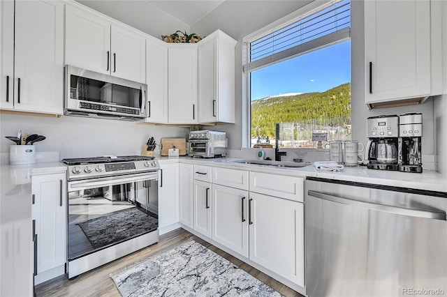 499 Silver Creek Rd, Idaho Springs, CO 80452 - kitchen featuring appliances with stainless steel finishes, a sink, light countertops, and light wood finished floors
