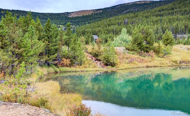 499 Silver Creek Rd, Idaho Springs, CO 80452 - water view featuring a heavily wooded area and a mountain backdrop