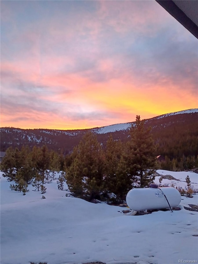 499 Silver Creek Rd, Idaho Springs, CO 80452 - view of mountain background