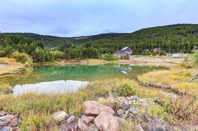 499 Silver Creek Rd, Idaho Springs, CO 80452 - mountain view with a forest and a large body of water