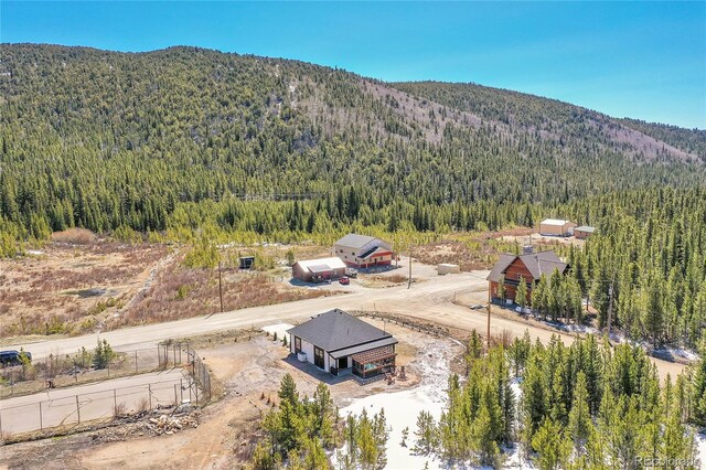 499 Silver Creek Rd, Idaho Springs, CO 80452 - mountain view with a forest