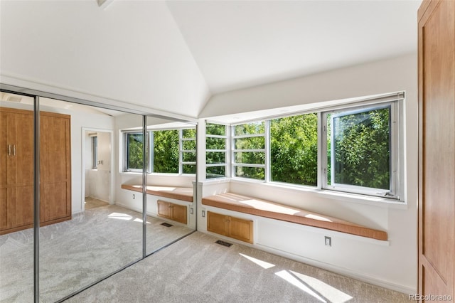 461 Fillmore St, Denver, CO 80206 - unfurnished bedroom with carpet flooring, multiple windows, and vaulted ceiling