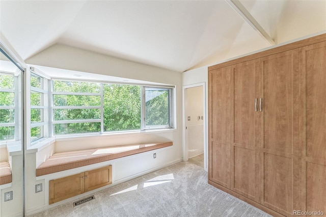 461 Fillmore St, Denver, CO 80206 - bathroom with vaulted ceiling