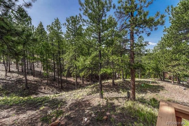 14694 Crooked Trail Rd, Woodland Park, CO 80863 - view of undeveloped land