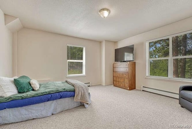 14694 Crooked Trail Rd, Woodland Park, CO 80863 - bedroom featuring a baseboard heating unit, multiple windows, carpet, and a baseboard radiator