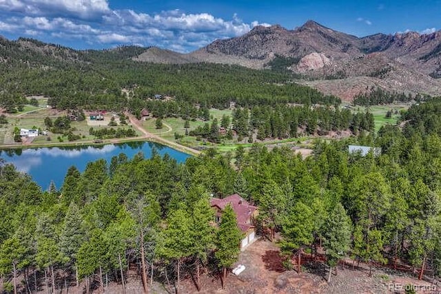 14694 Crooked Trail Rd, Woodland Park, CO 80863 - aerial view of a water and mountain view