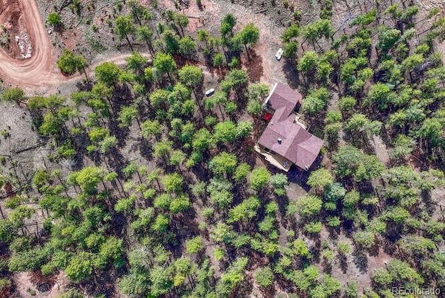 14694 Crooked Trail Rd, Woodland Park, CO 80863 - aerial view of property and surrounding area
