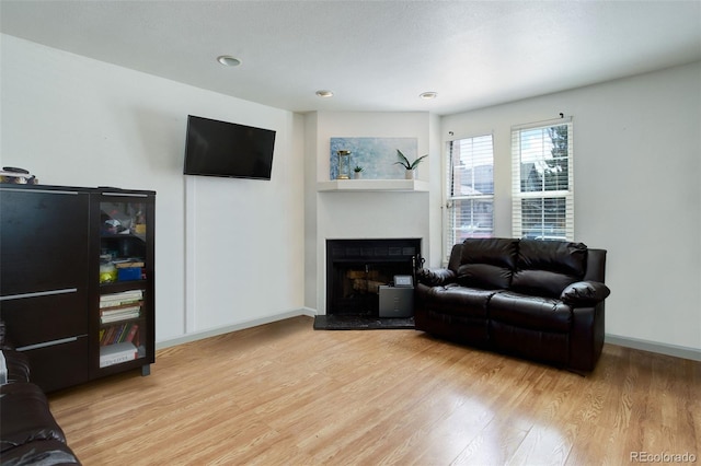 living room with light wood-type flooring