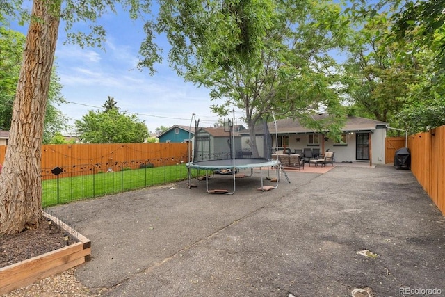 2967 Olive St, Denver, CO 80207 - rear view of property with a patio area and a trampoline
