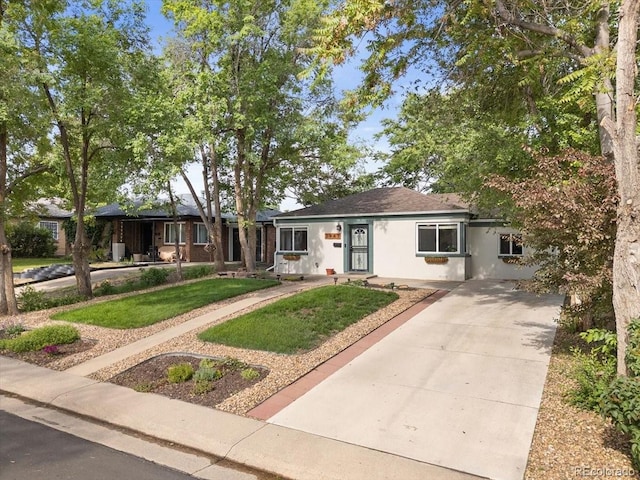 2967 Olive St, Denver, CO 80207 - ranch-style home featuring driveway, stucco siding, and a front yard