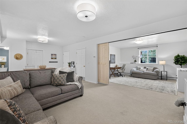 20854 State Highway 96, Wetmore, CO 81253 - living room featuring light colored carpet, a textured ceiling, and a baseboard radiator