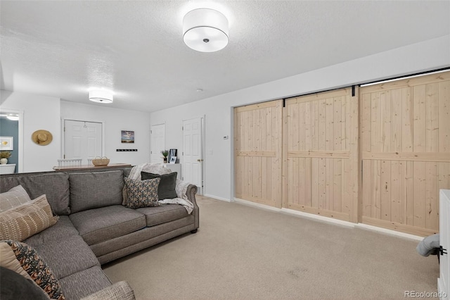 20854 State Highway 96, Wetmore, CO 81253 - living area with carpet and a textured ceiling