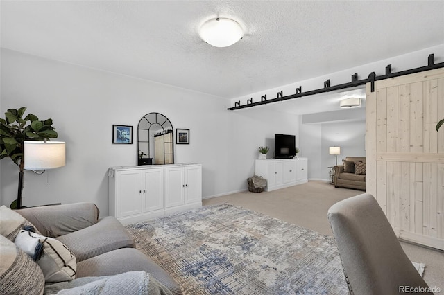 20854 State Highway 96, Wetmore, CO 81253 - carpeted living room with a barn door and a textured ceiling