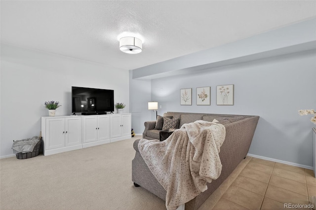20854 State Highway 96, Wetmore, CO 81253 - living room featuring baseboards and a textured ceiling