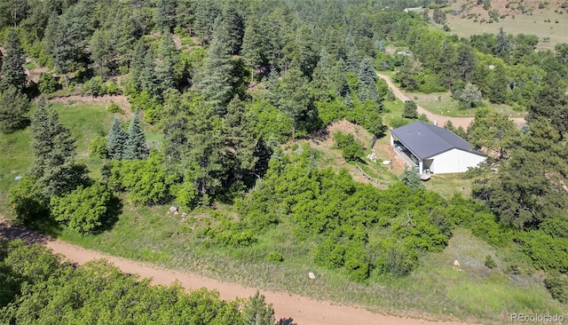 20854 State Highway 96, Wetmore, CO 81253 - view of subject property featuring a heavily wooded area