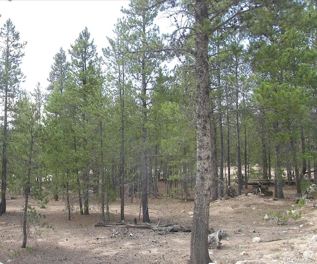 218 Cedar Dr, Leadville CO, 80461 land for sale