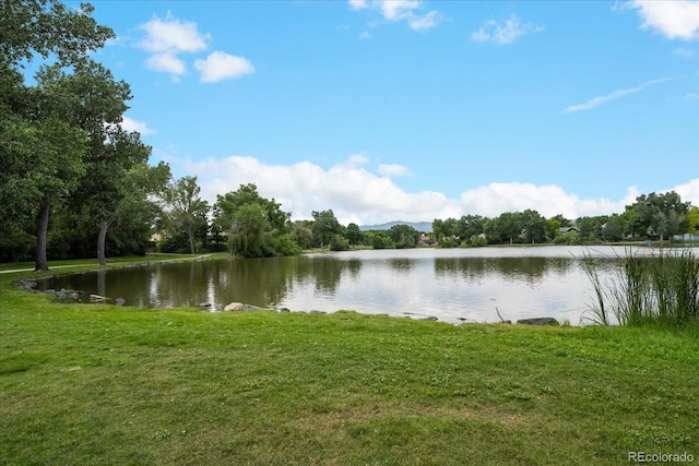 6011 Welch St, Arvada, CO 80004 - photo 28