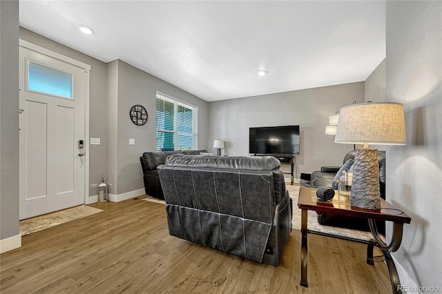 living room featuring wood-type flooring