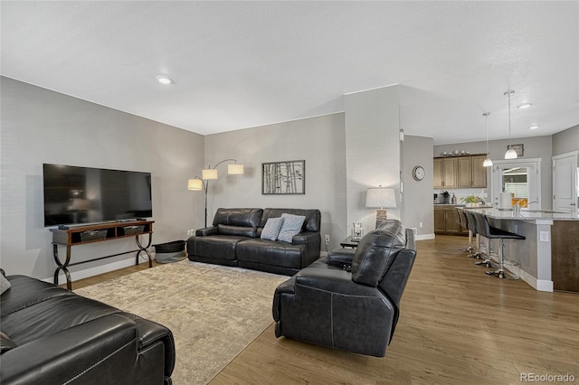 living room featuring light wood-type flooring