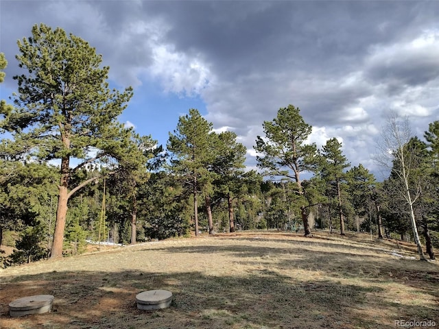 view of yard featuring a view of trees