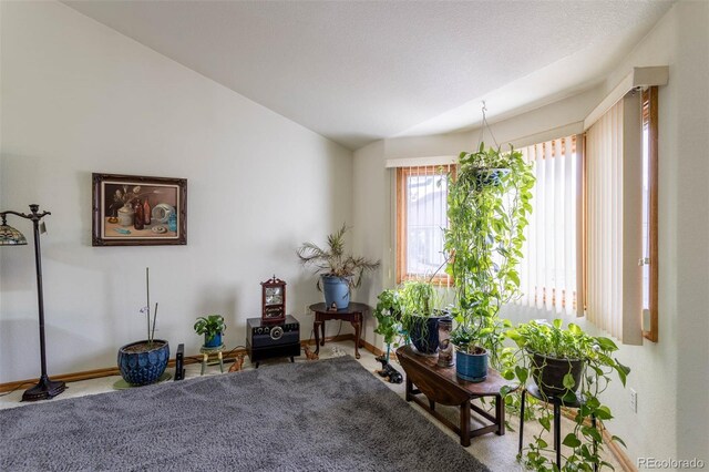 2617 E Egbert St, Brighton, CO 80601 - photo 4
